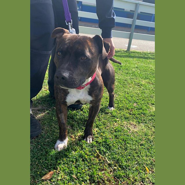 Photo of Slinky