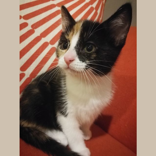 Photo of Sandy