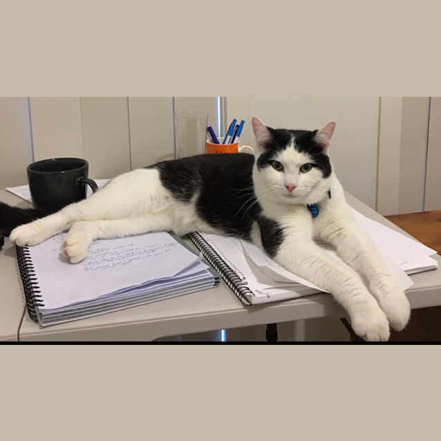 Photo of Louie