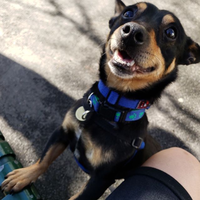 Photo of Jasper
