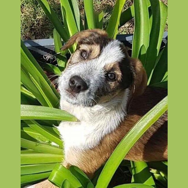 Photo of Murphy 😎