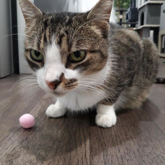 Photo of Charlie