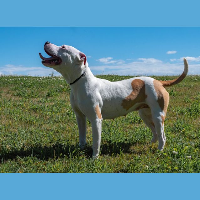 Photo of Luna