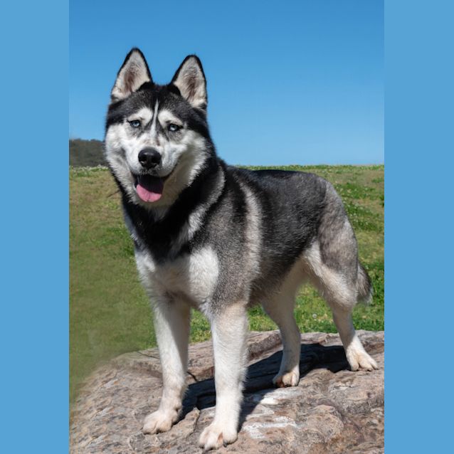 Photo of Lucy