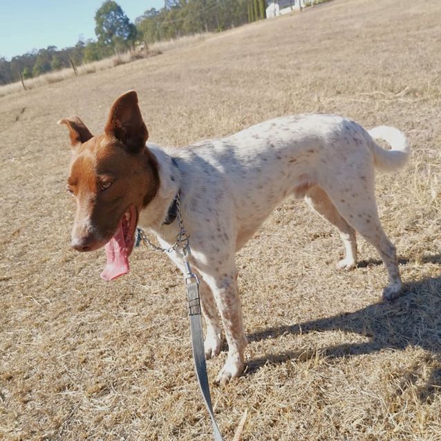 Photo of Finn