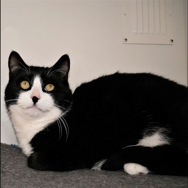 Photo of Louey Sua004224