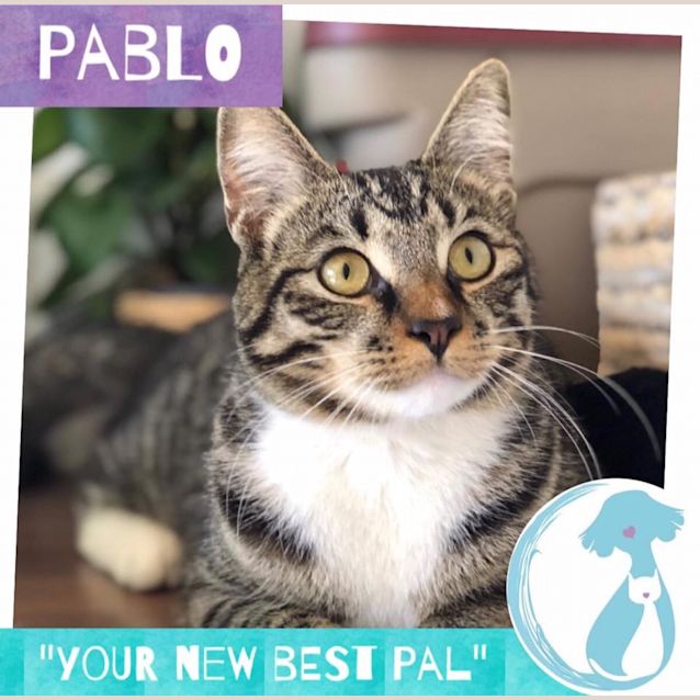Photo of Pablo