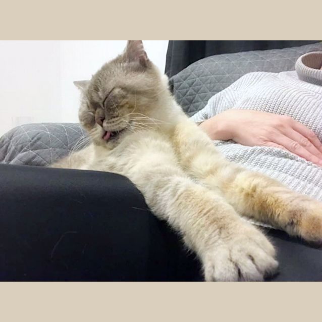 Photo of 🐱‍🏍Charlie 🐱‍🏍