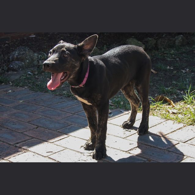 Photo of Tommen