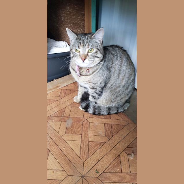 Photo of Ziggy
