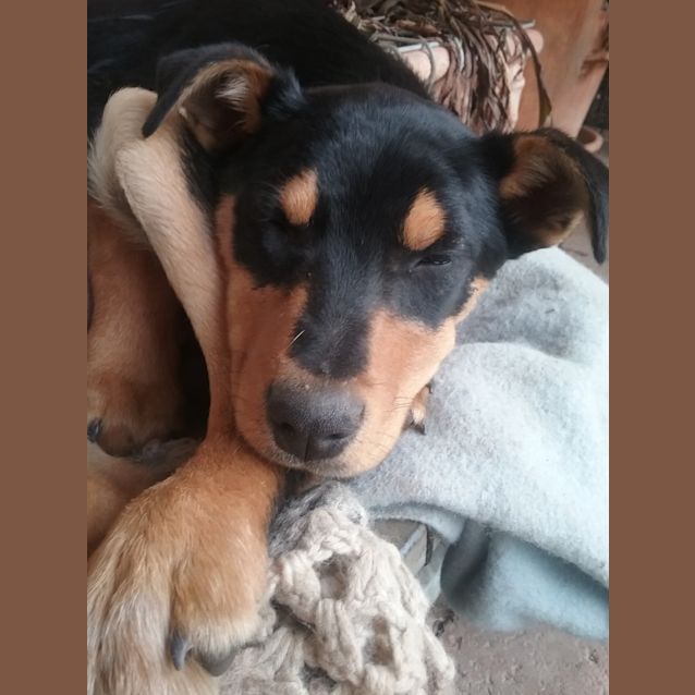 Photo of Cooper And Co