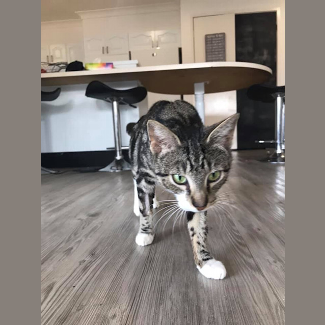 Photo of Missy