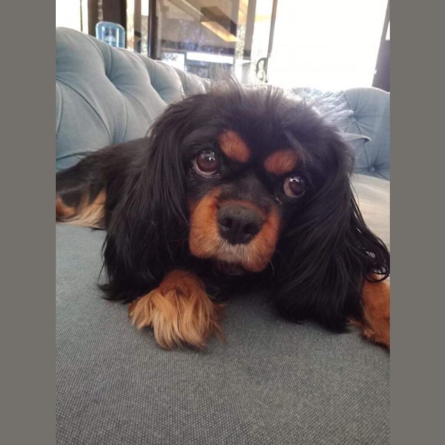 Photo of Charlotte 🎀🎀