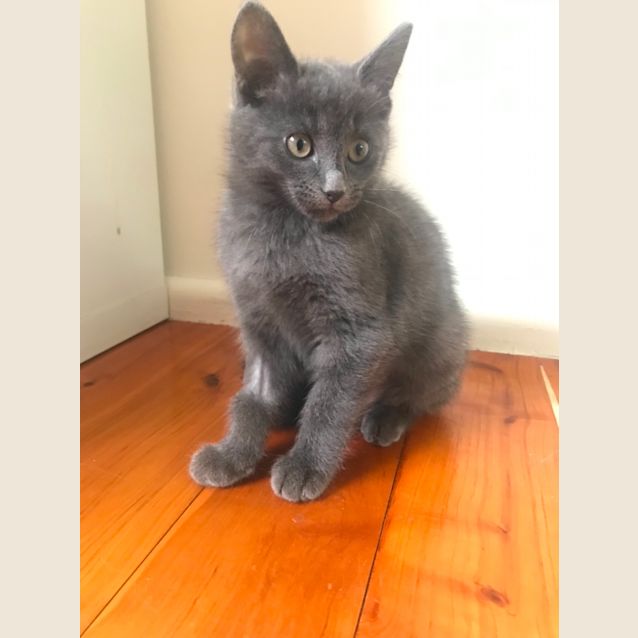 Photo of Rosie