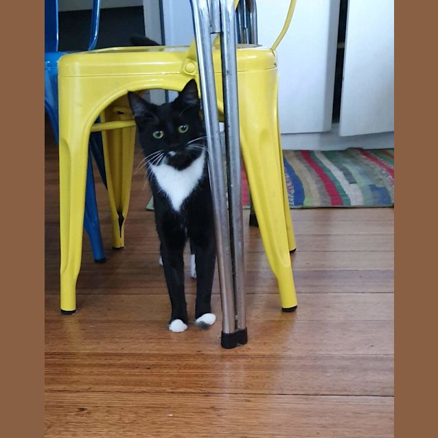 Photo of Dotti