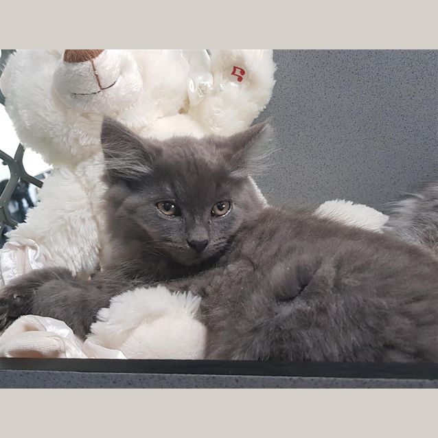 Photo of Marcie