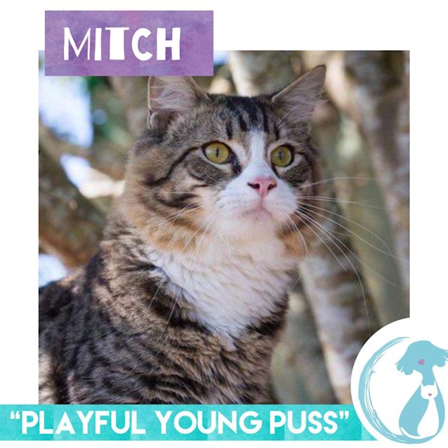 Photo of Mitch