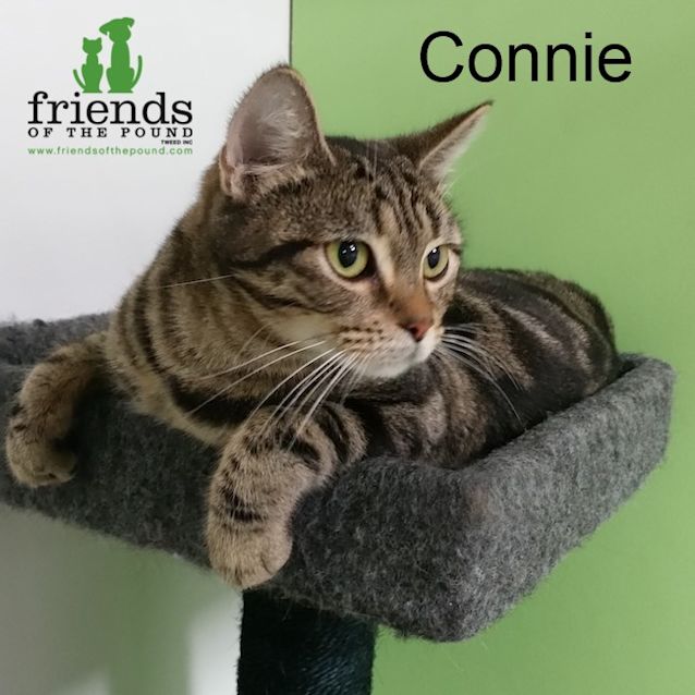 Photo of Connie