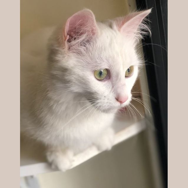Photo of Holly