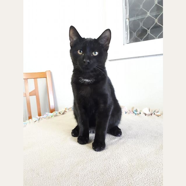 Photo of Crowley