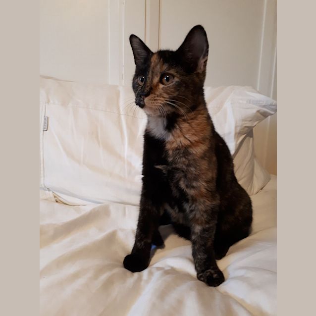 Photo of Agnes 