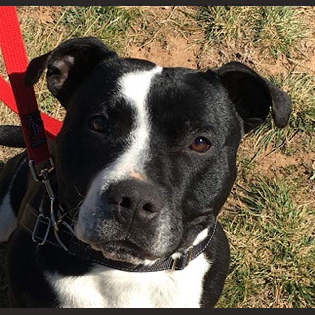 Photo of Tank
