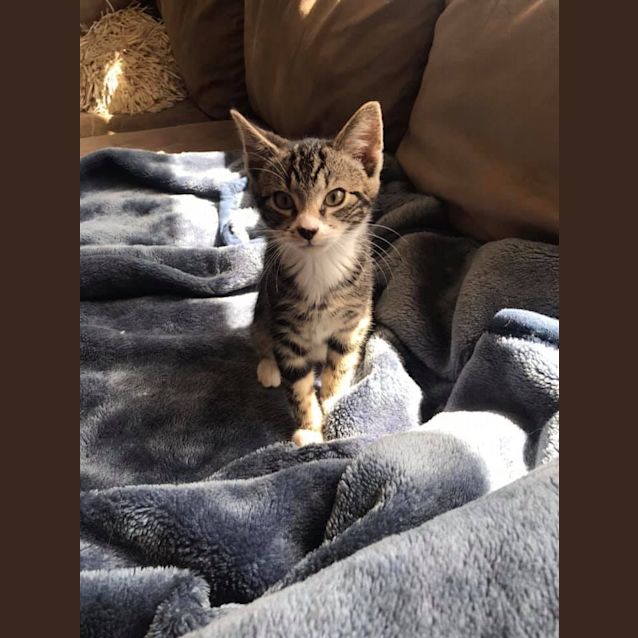 Photo of Jett