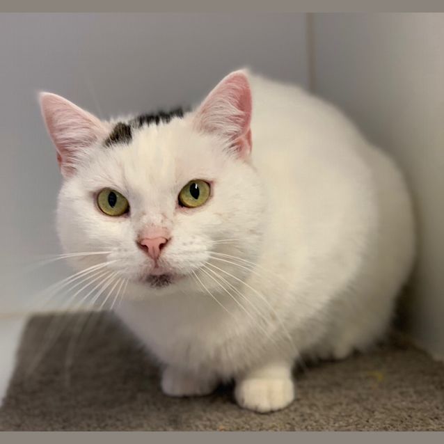 Photo of Frosty Sua004118