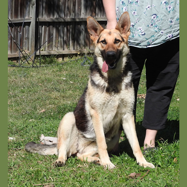 Photo of Luna   Meet And Greet Organised