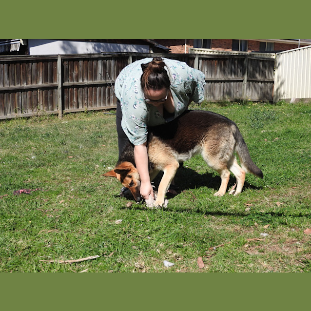 Photo of Luna   Meet And Greet Organised