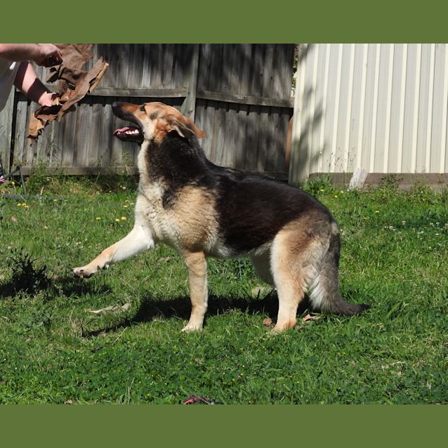 Photo of Luna   Meet And Greet Organised