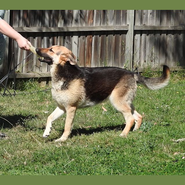 Photo of Luna   Meet And Greet Organised