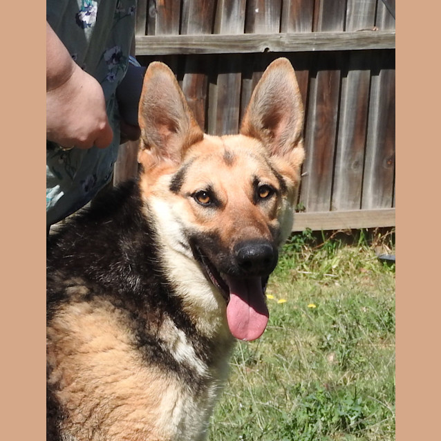 Photo of Luna   Meet And Greet Organised