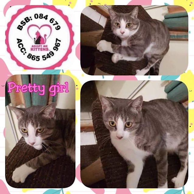 Photo of Pretty Girl