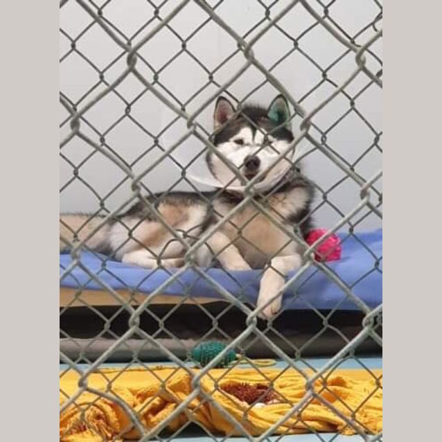 Photo of Donna & Floyd