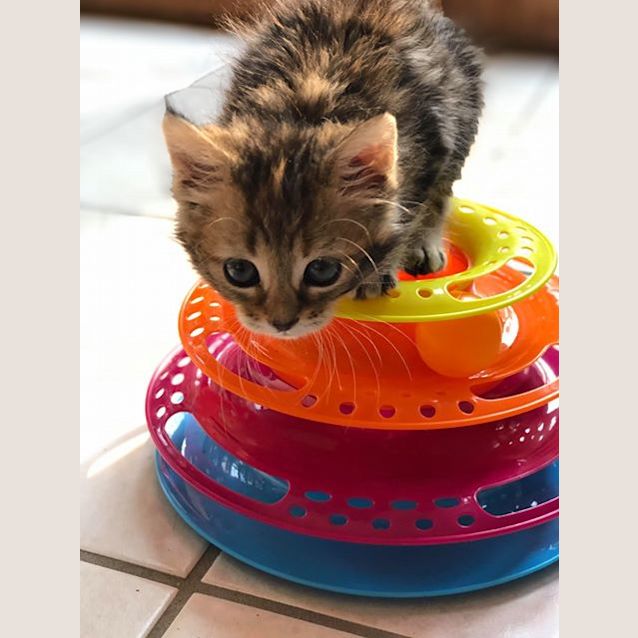 Photo of Amara 