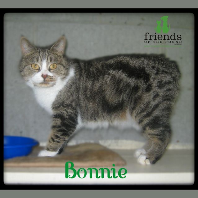 Photo of Bonnie
