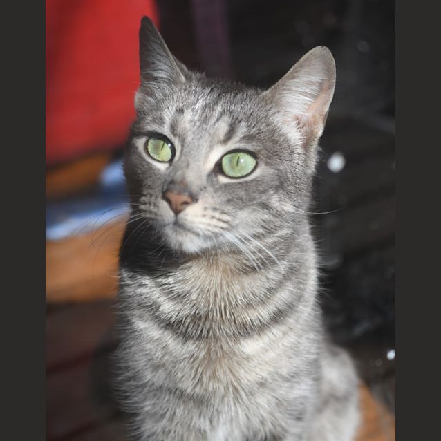 Photo of Agnes