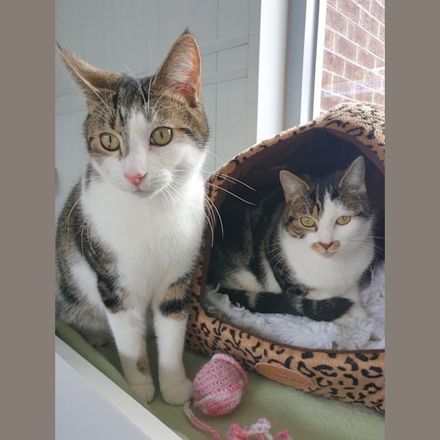 Photo of Jack And Jill