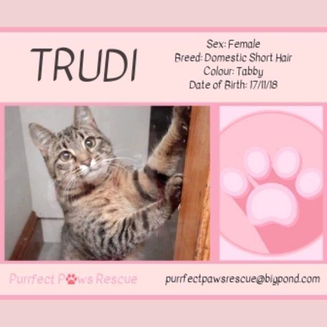 Photo of Trudi