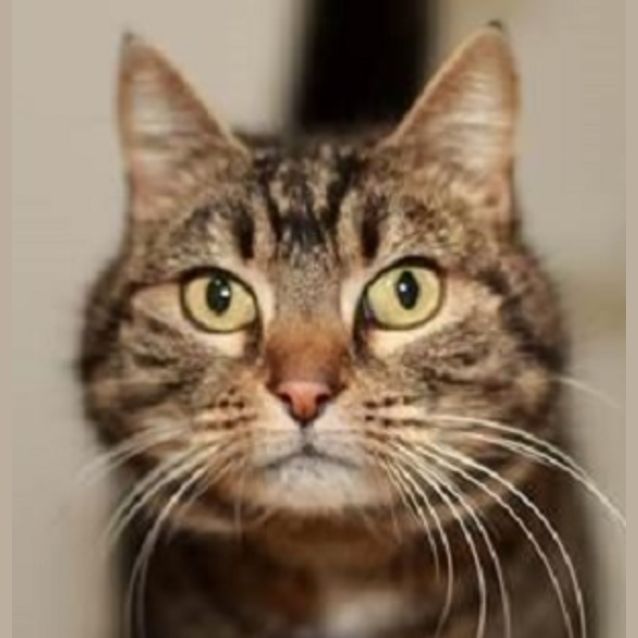 Photo of Wendy