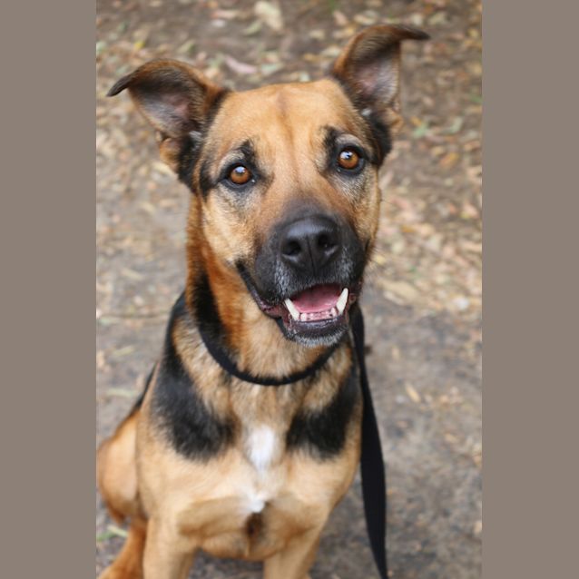 Photo of Zena