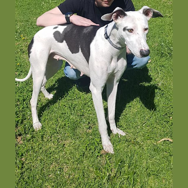 Photo of Nellie D0076