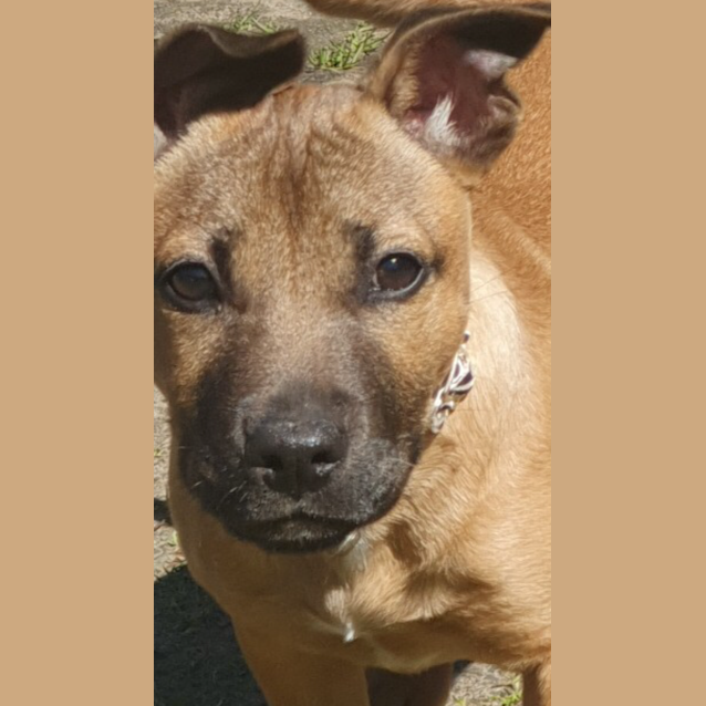 Photo of Lilly 