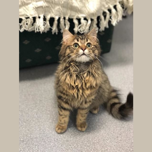 Photo of Mooshie