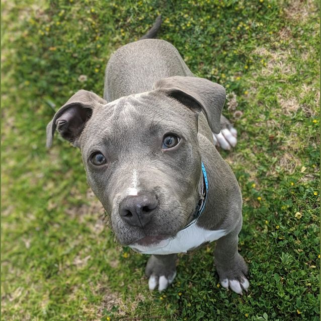 Photo of Smithy/Zeus