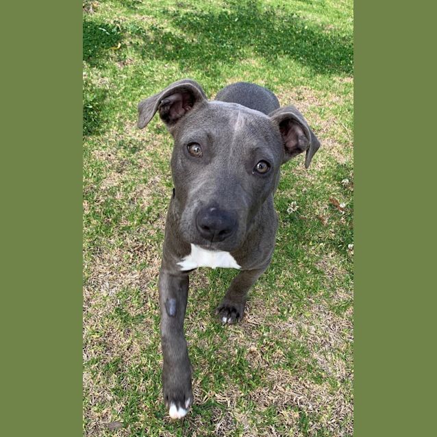 Photo of Ruffles