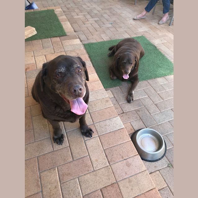 Photo of Bud & Bella