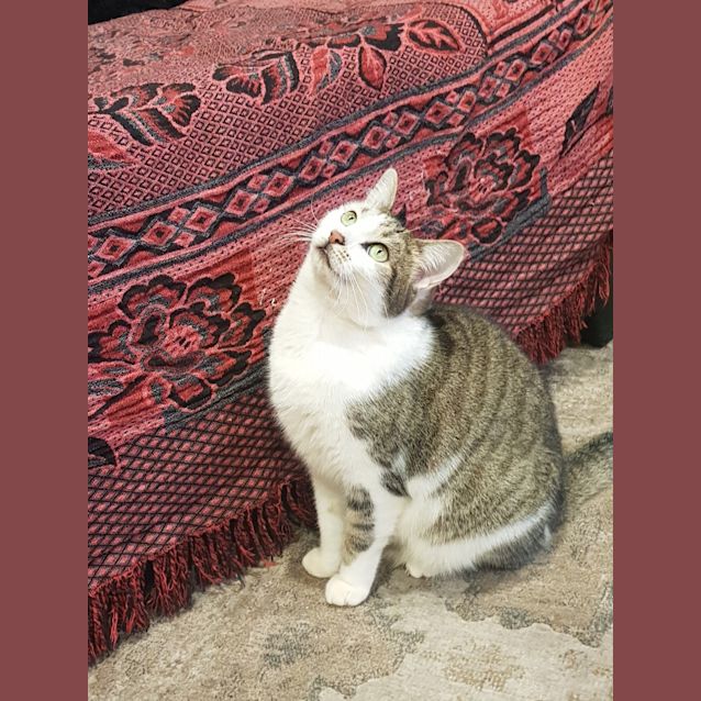 Photo of Esmerelda