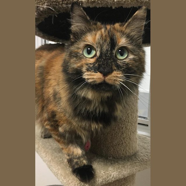 Photo of Martha
